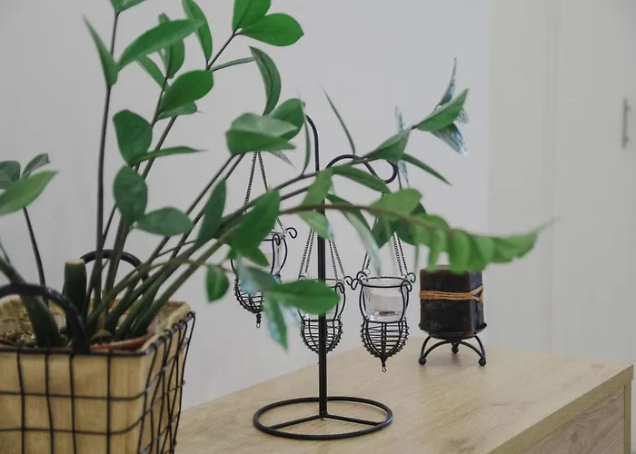 Minimal Culture Boutique * קאבאלה