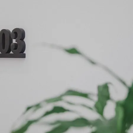 Minimal Culture Boutique Appartement