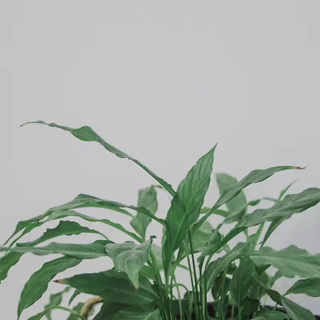 Appartamento Minimal Culture Boutique